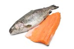 trota con filetto - trout and fillet